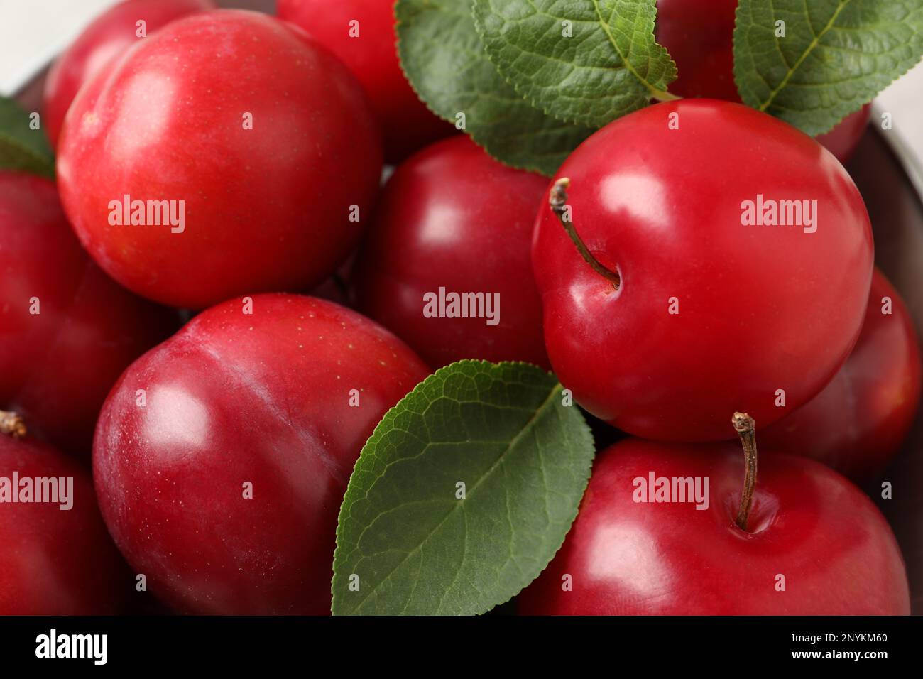 Délicieux prunes de cerise mûres avec des feuilles, gros plan Banque D'Images