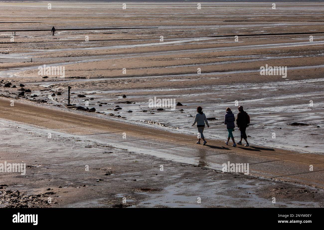 Passage du gois, l'Ile de Noirmoutier, dept Loire-Atlantique, France, Europe Banque D'Images