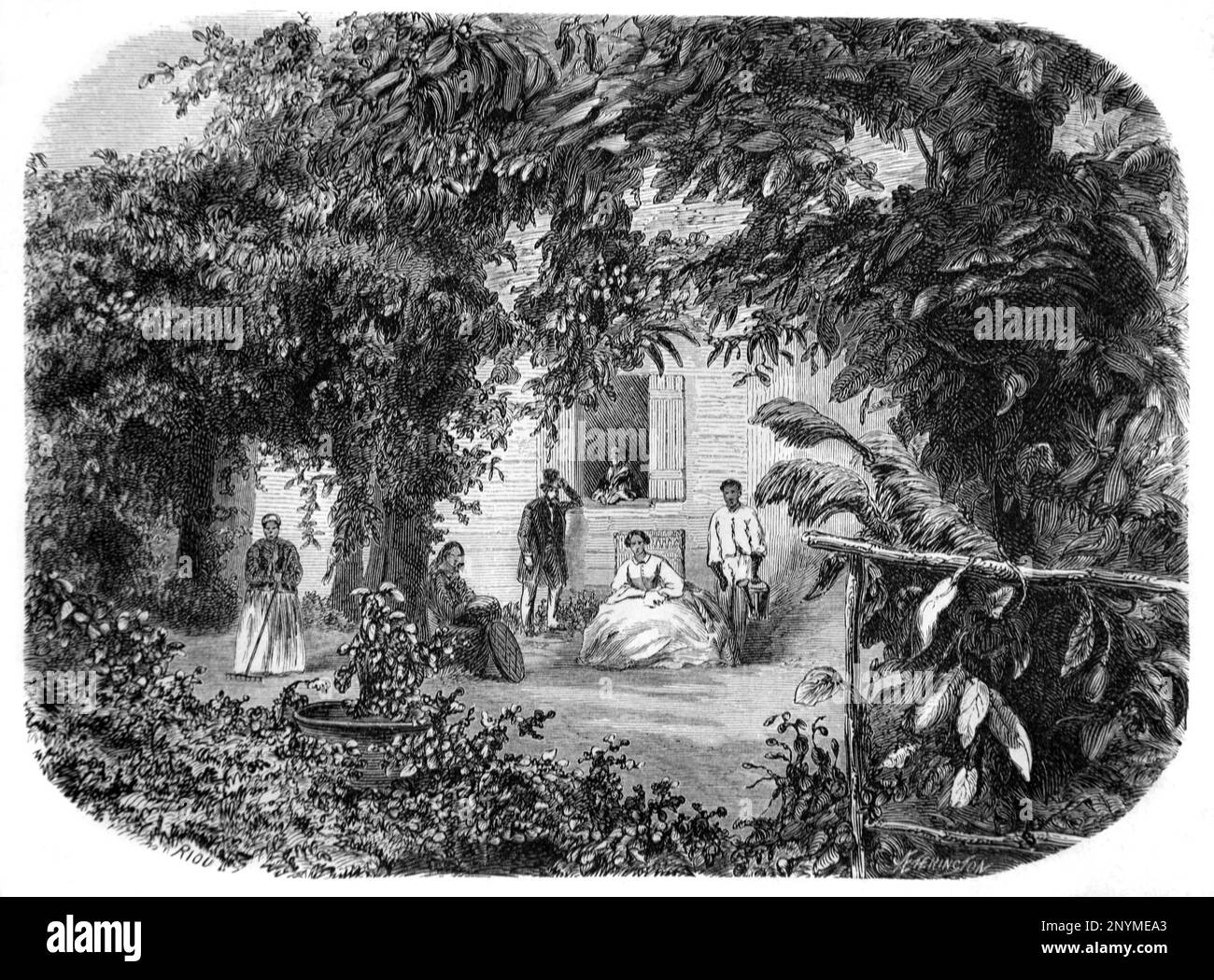 Jardin créole et famille créole Saint Denis Réunion (département d'outre-mer de France). Gravure ancienne ou illustration 1862 Banque D'Images