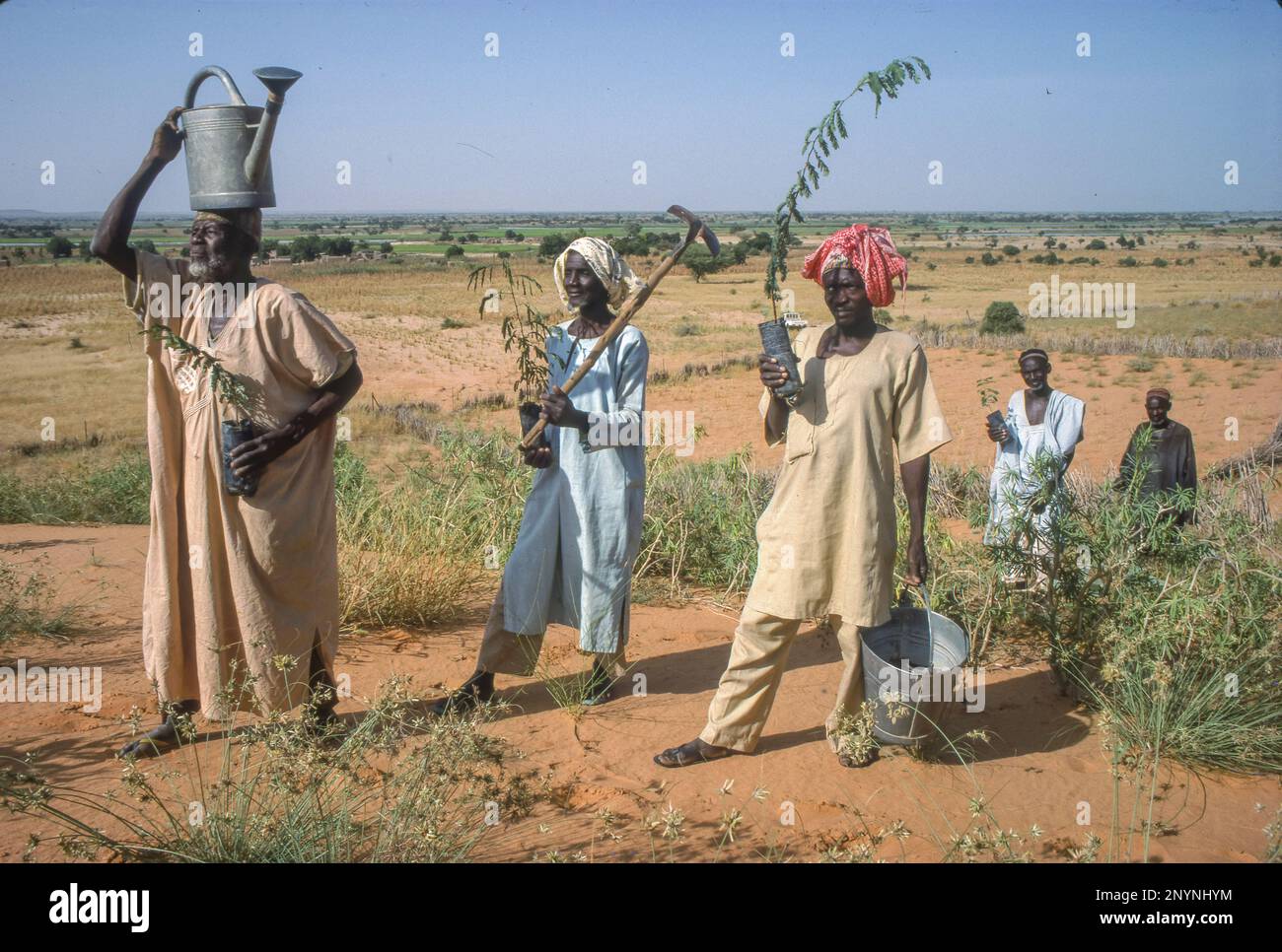 Au Niger, près de Tahoua, des hommes vont planter des arbres dans les dunes de sable pour arrêter le désert du Sahara. Banque D'Images