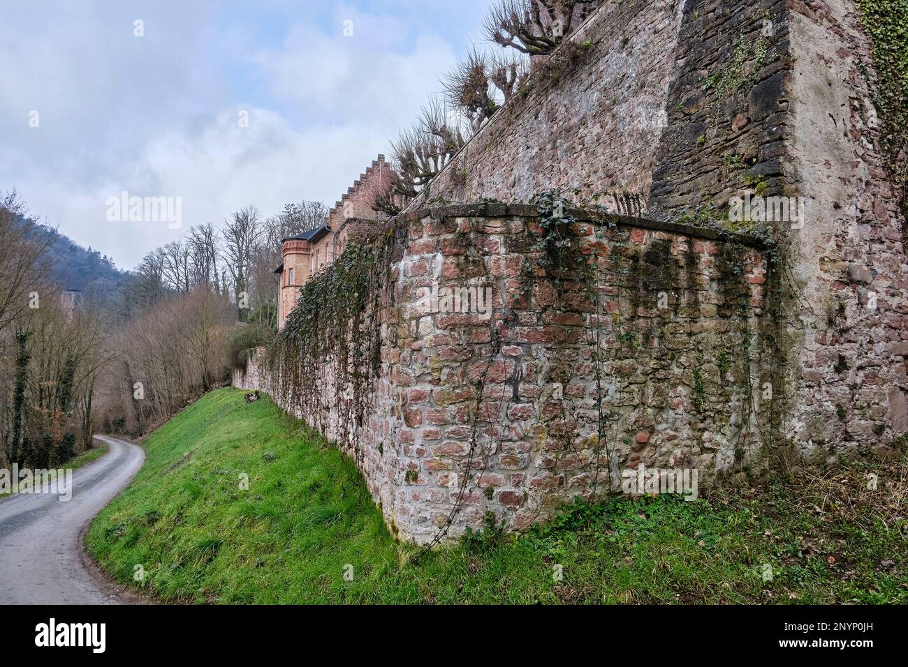 Château de Mittelburg, château médiéval sur colline bien conservé et habité, Neckarsteinach, Hesse, Allemagne. Banque D'Images