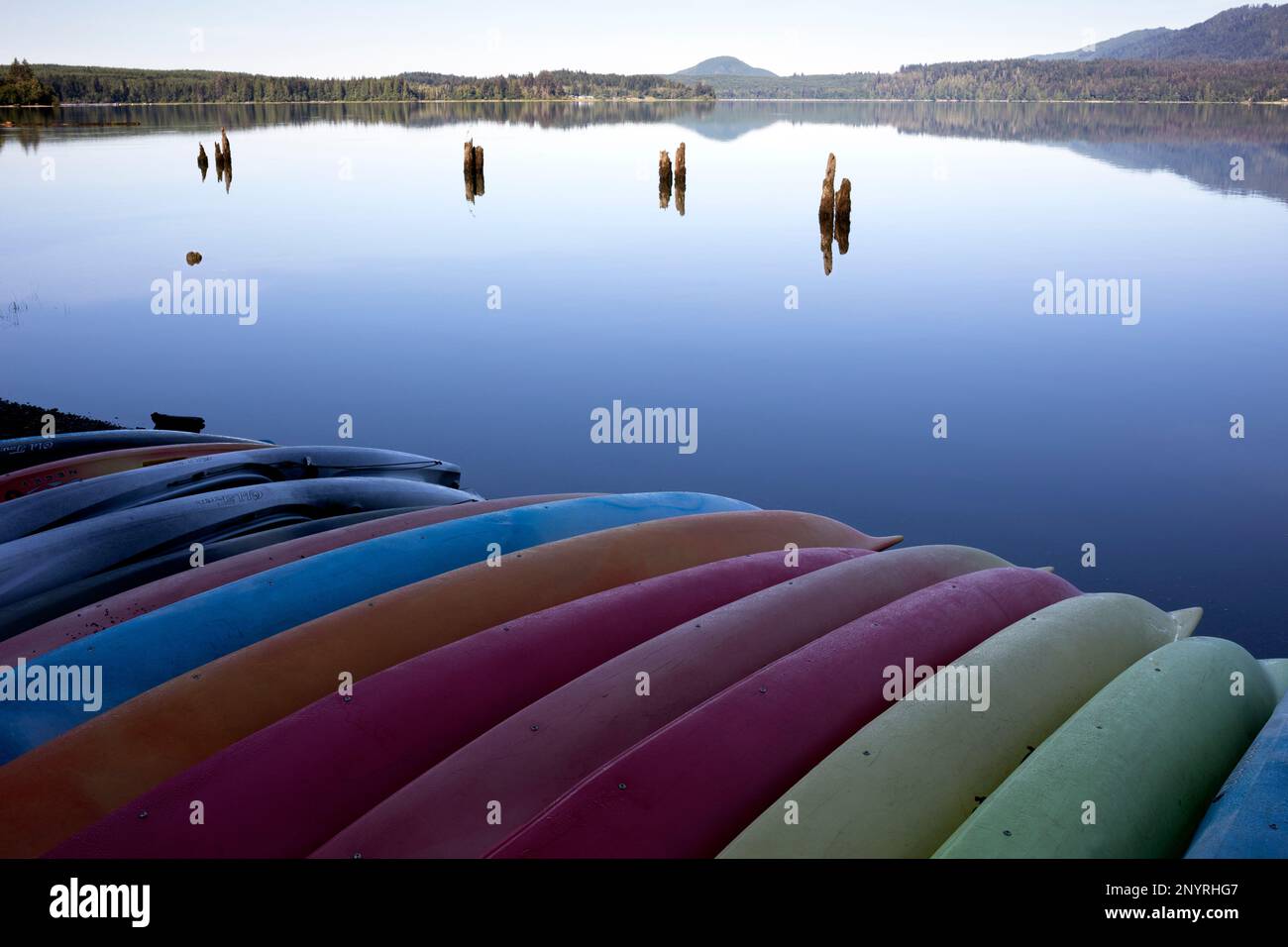 WA20978-00....WASHINGTON - kayaks sur la rive du lac Quinault, Lake Quinault Lodge. Banque D'Images