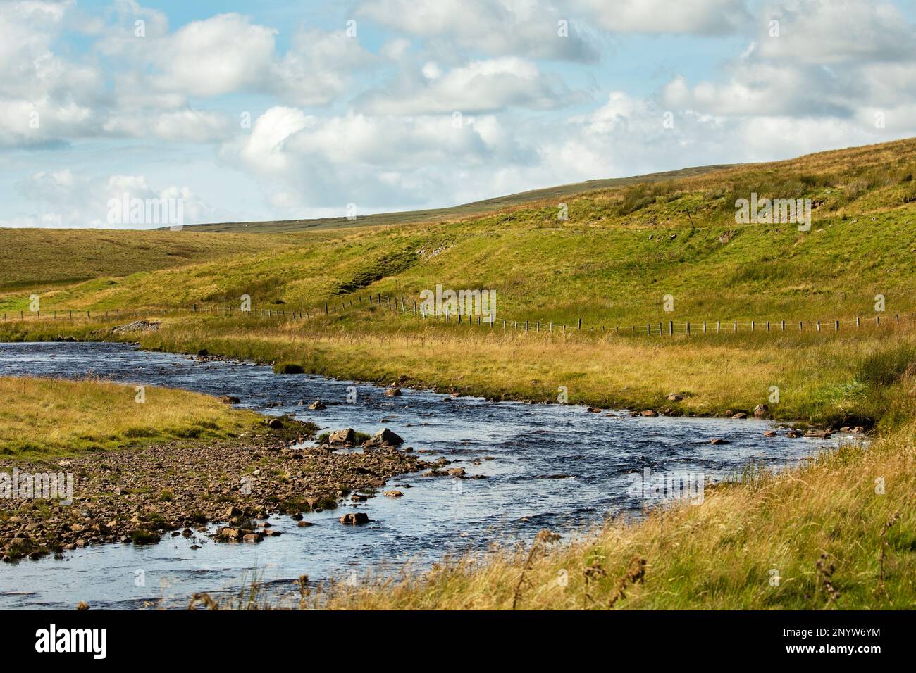 La rivière Tees à quelques kilomètres en dessous de sa source sur Cross Fell, à Moor House National nature Reserve, Upper Teesdale, North Pennines AONB, comté de Durham Banque D'Images