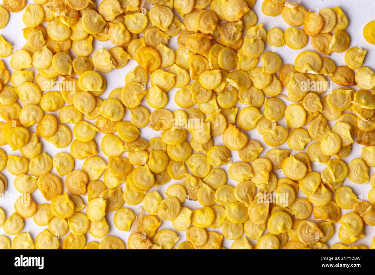 Grains de poivron lumineux et coloré sur fond blanc : une photo avec vue de dessus Banque D'Images