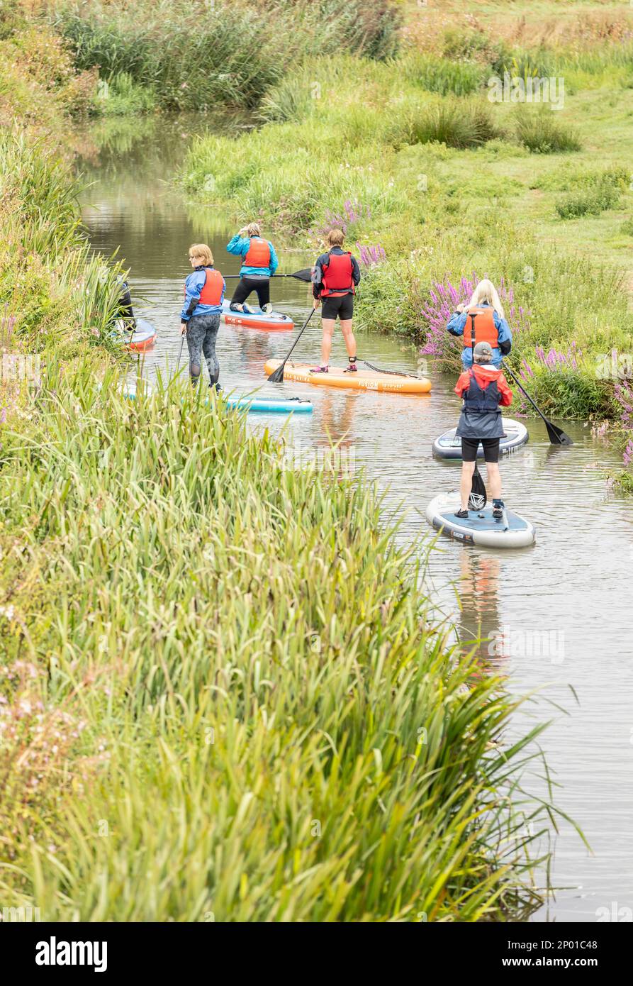 Tenterden, Kent, royaume-uni, 21, août, 2022 personnes non identifiables paddle-board sur une rivière calme pendant l'été Banque D'Images
