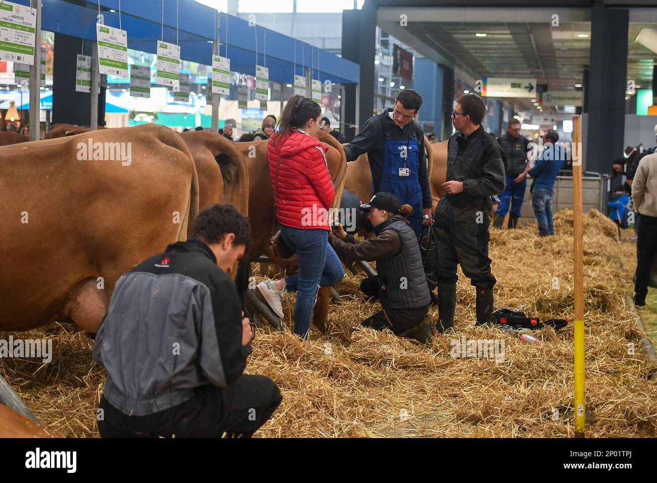 France. 28th févr. 2023. Salon agricole international de 25 février à 5 mars 2023 à l'Expo Paris porte de Versailles. (Photo de Lionel Urman/Sipa USA) crédit: SIPA USA/Alay Live News Banque D'Images