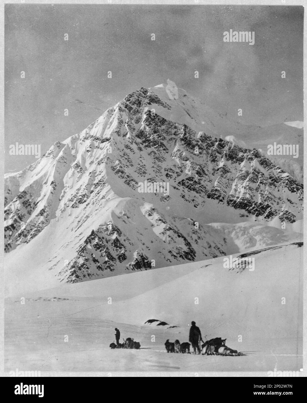 Mt. McKinley. Collection Frank et Frances Carpenter , cadeau; Mme W. Chapin Huntington; 1951, montagnes,Alaska,McKinley, Mount,1890-1940, Snow,Alaska,McKinley, Mount,1890-19304 , Dogsleding,Alaska,McKinley, Mount,1890-1940, McKinley, Mount (Alaska),1890-1940, États-Unis, Alaska Banque D'Images