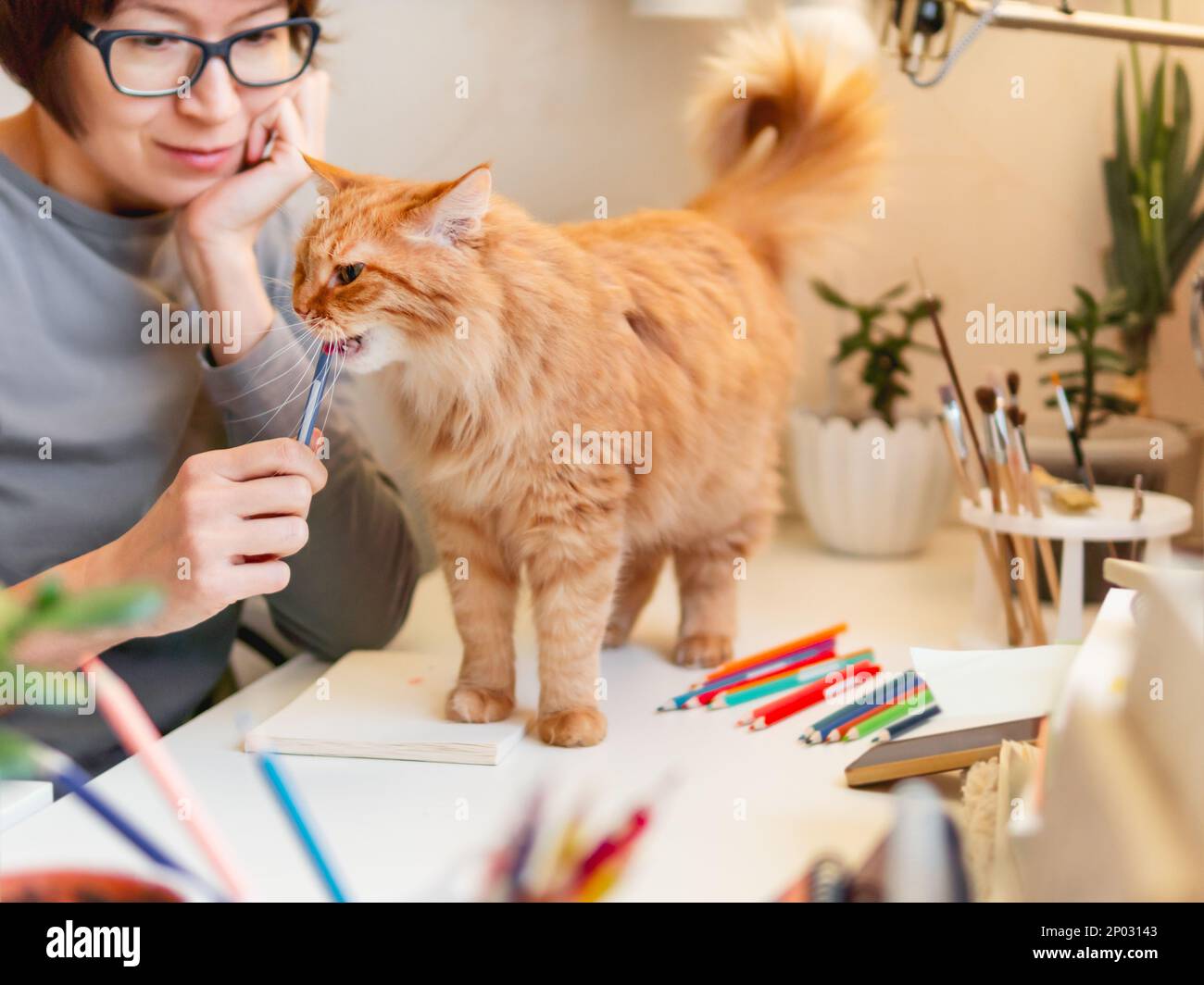 Une femme avec une coupe de cheveux courte est de dessiner dans un carnet.Un joli chat au gingembre se trouve près d'elle.Animal de compagnie et artiste doux.Passe-temps apaisant, loisirs anti stress. Banque D'Images