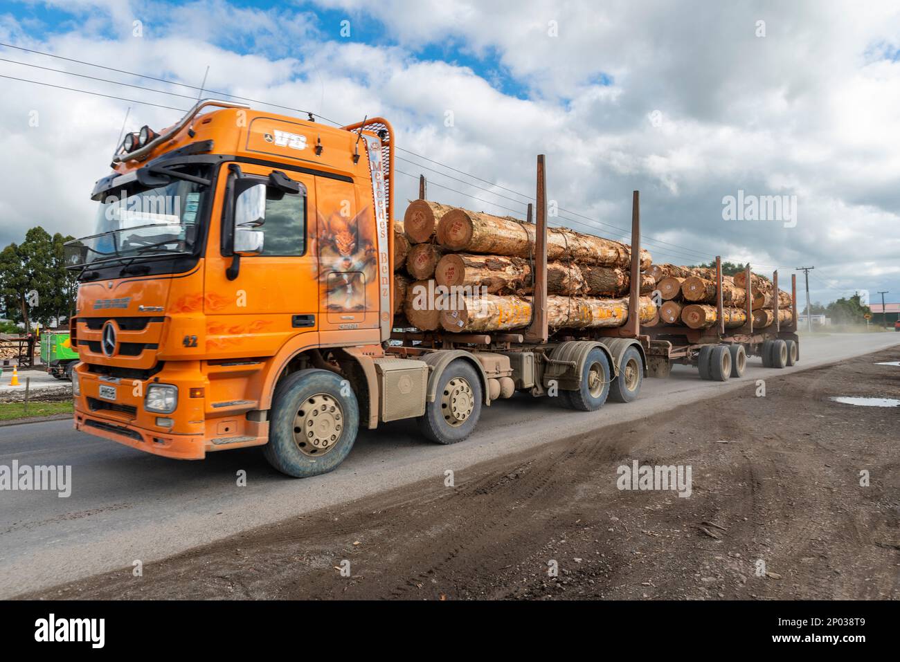 Camion-grumes traversant la périphérie de Masterton, en Nouvelle-Zélande. Mercedes-Benz Actros avec remorque pour le transport de bois forestier Banque D'Images
