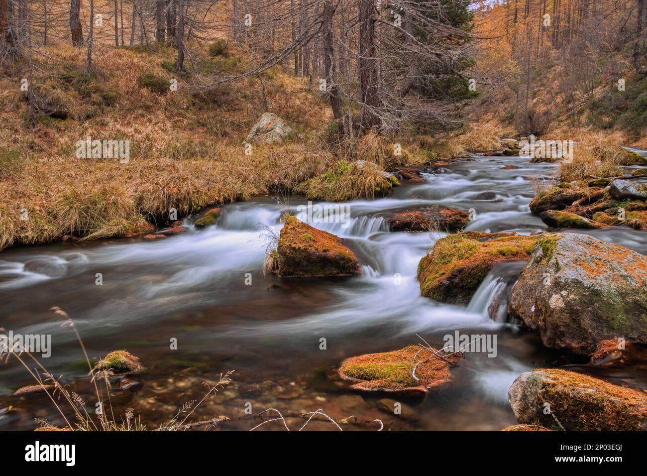 Paysage de montagne avec ruisseau, Alpe Devero. Banque D'Images