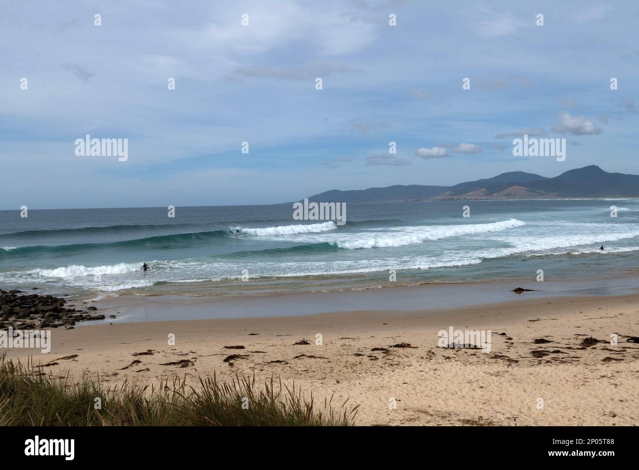 Shelly Beach, vagues immaculées de surf parfaites sur la côte est de Tasmanie. Banque D'Images