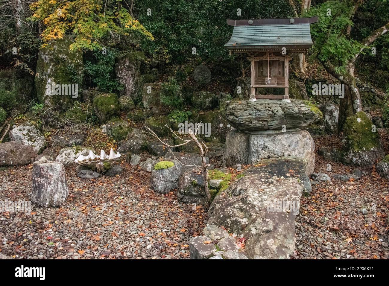 Petit temple dans le jardin du temple bouddhiste Jinguji avec des feuilles mortes, Kamiyama, Japon Banque D'Images
