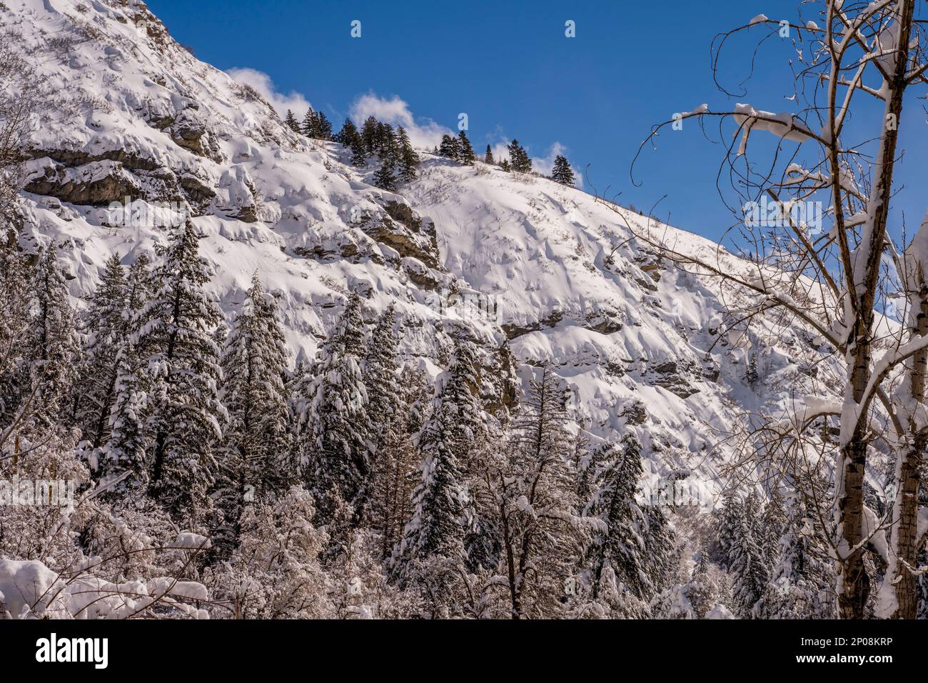 Vue sur les parois enneigées du canyon à Sundance Resort, également connu sous le nom de Sundance Mountain Resort, qui est une station de ski située à 13 miles (21 km) de northe Banque D'Images