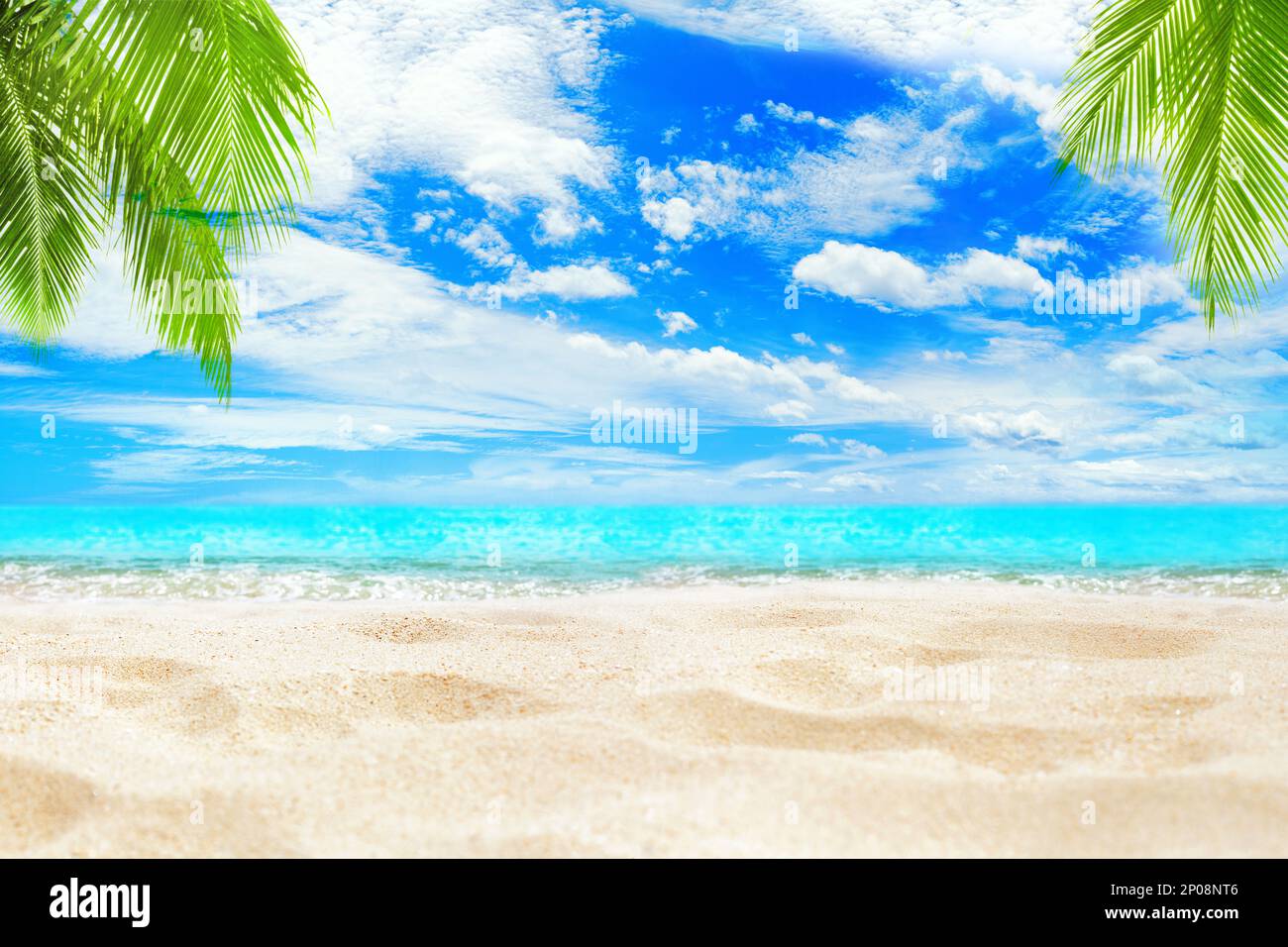 Île tropicale mer plage arrière-plan, turquoise océan vague, sable, soleil bleu ciel blanc nuage, vert noix de coco feuille de palmier, paradis nature paysage Banque D'Images
