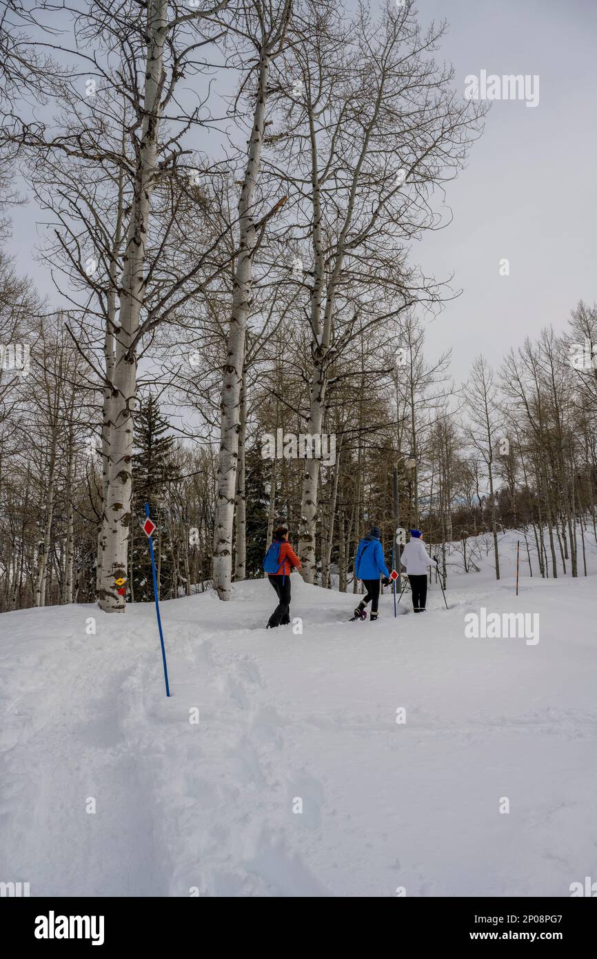 Trois femmes (libérées), dont un senior de 90 ans, raquette au Nordic Center of the Sundance Resort, également connu sous le nom de Sundance Mountain Resor Banque D'Images