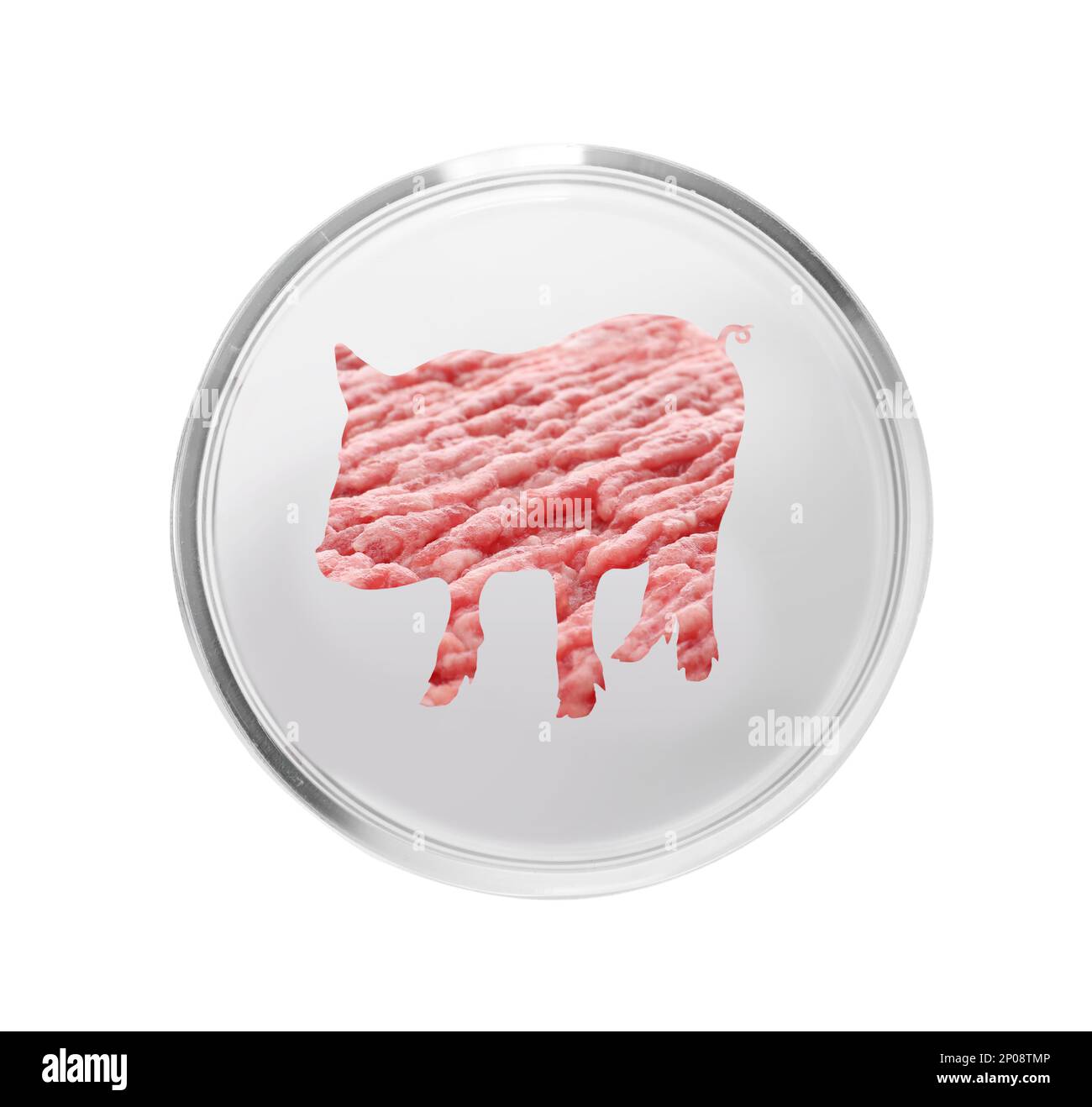 Silhouette de porc avec hache de porc dans un plat de pétri sur fond blanc. Concept de viande de culture Banque D'Images