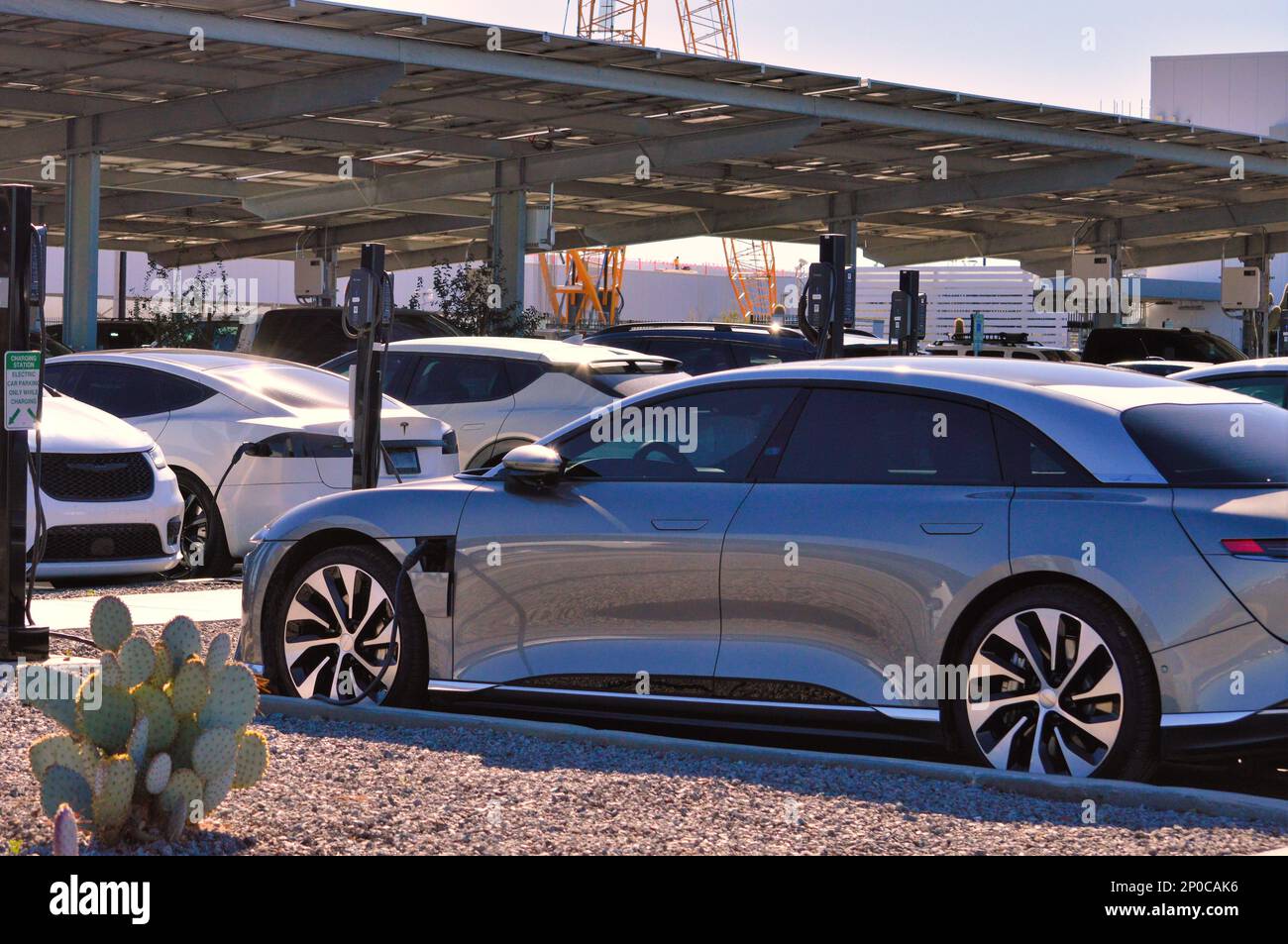 01 mars 2023 - Casa Grande, Arizona : voitures électriques à l'extérieur de l'usine de production de véhicules électriques de Lucid Motors. Banque D'Images