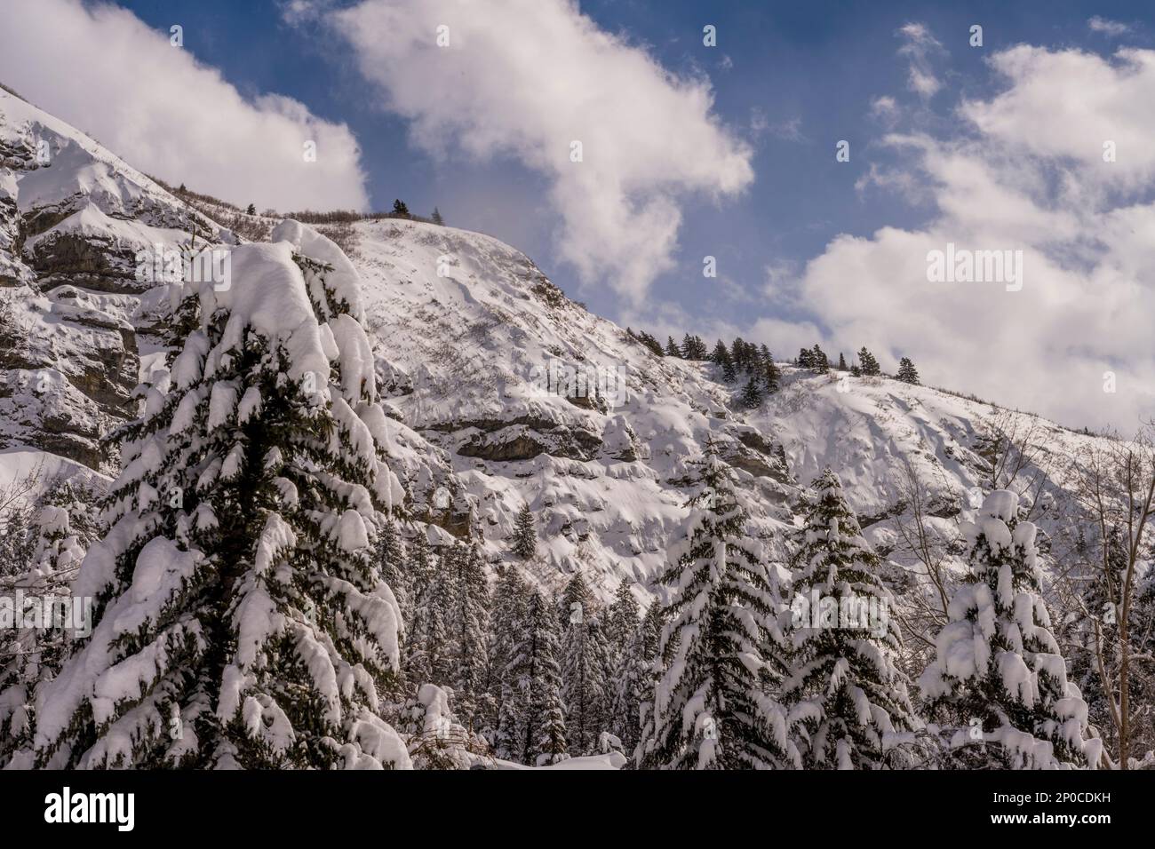 Vue sur les parois enneigées du canyon à Sundance Resort, également connu sous le nom de Sundance Mountain Resort, qui est une station de ski située à 13 miles (21 km) de northe Banque D'Images