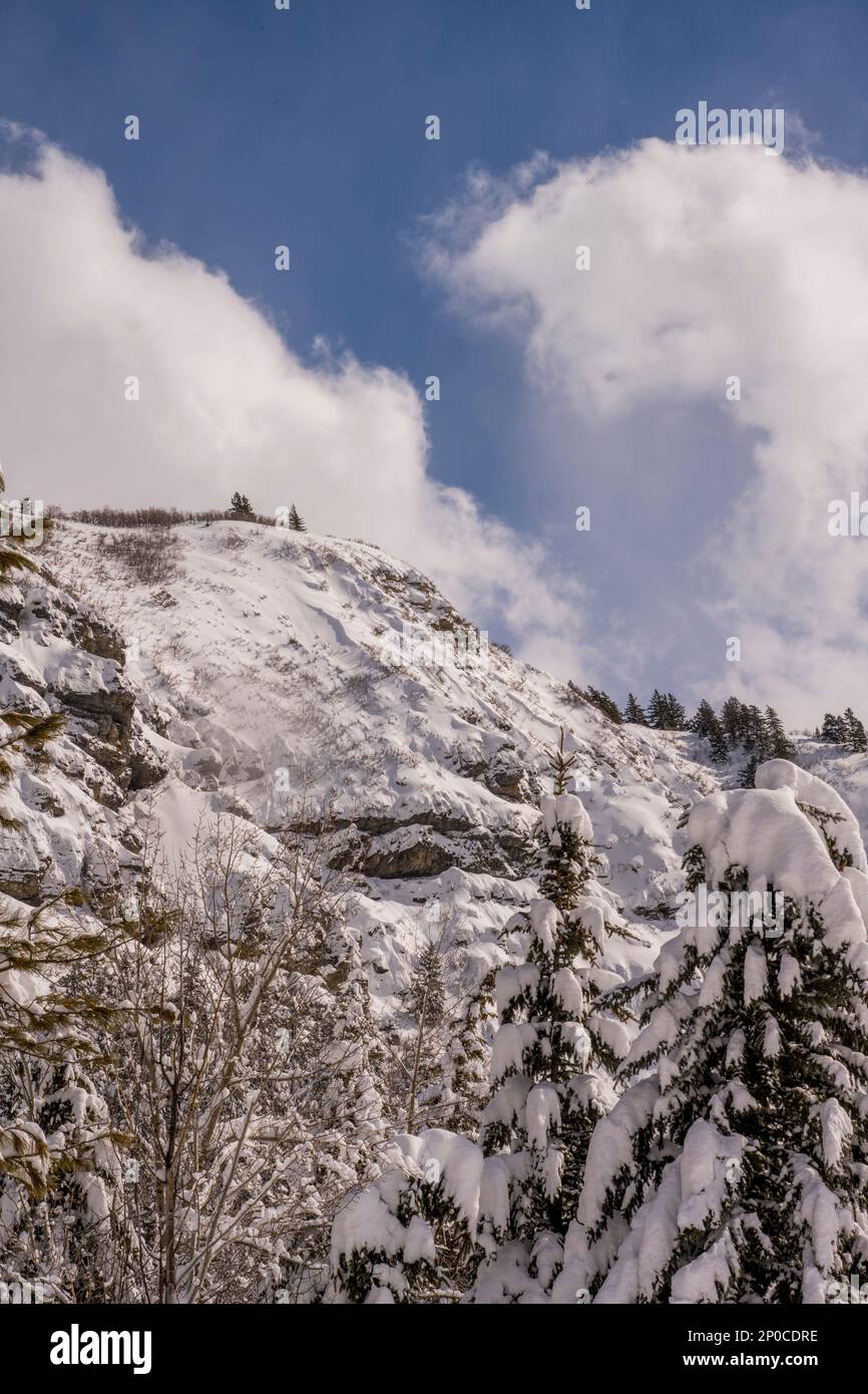 Vue sur les parois enneigées du canyon à Sundance Resort, également connu sous le nom de Sundance Mountain Resort, qui est une station de ski située à 13 miles (21 km) de northe Banque D'Images