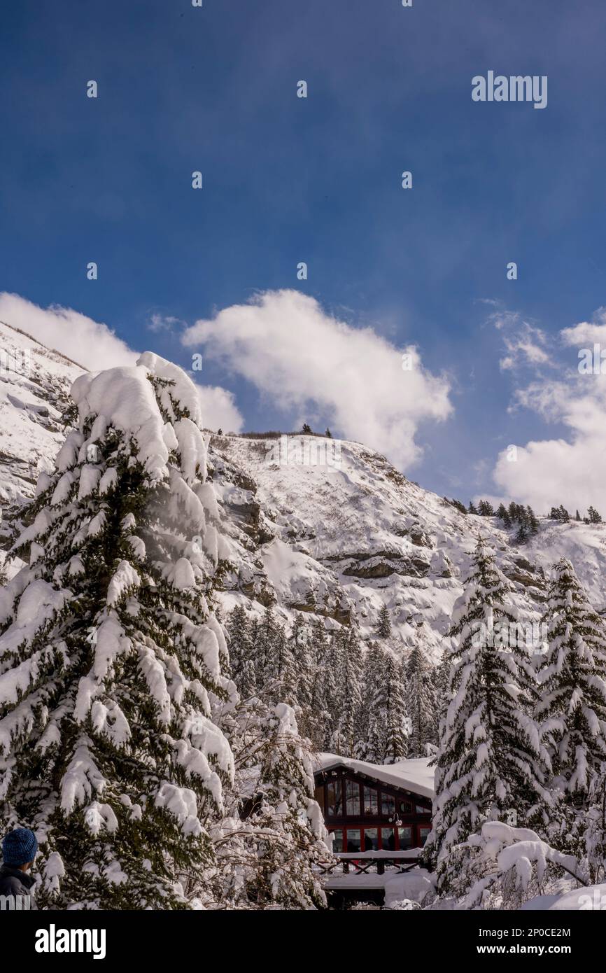 Vue sur les parois enneigées du canyon à Sundance Resort, également connu sous le nom de Sundance Mountain Resort, qui est une station de ski située à 13 miles (21 km) de northe Banque D'Images