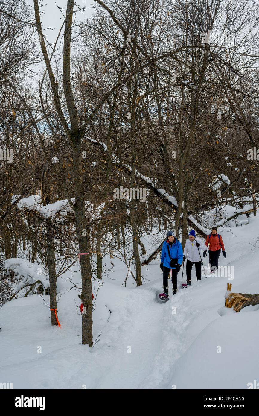 Trois femmes (libérées), dont un senior de 90 ans, raquette au Nordic Center of the Sundance Resort, également connu sous le nom de Sundance Mountain Resor Banque D'Images