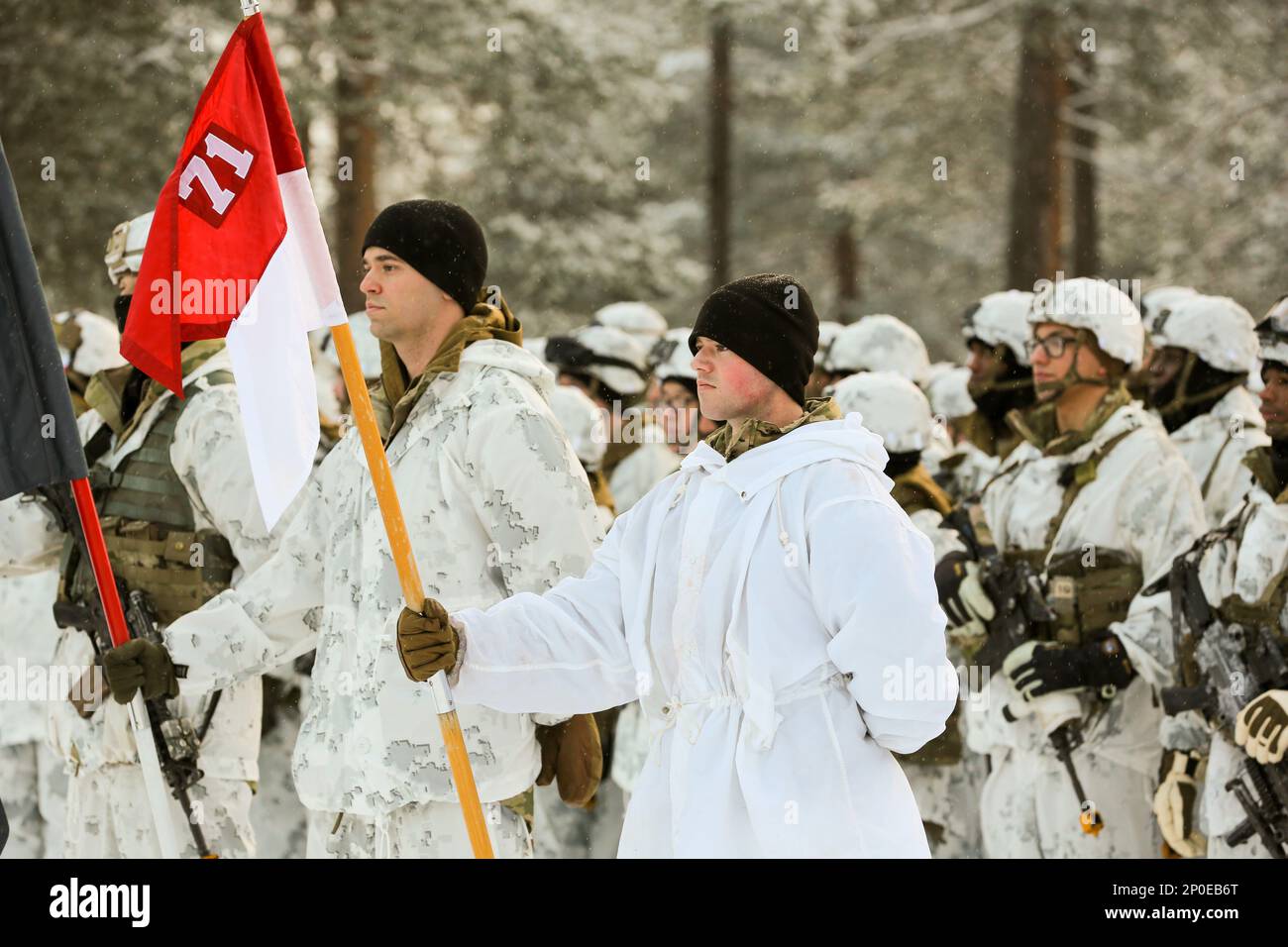 Le 20 février 2023, le SPC Connor Hanafin, un fantassin avec la troupe Charlie, 3-71 Cavalry Regiment, 1st Brigade combat Team, 10th Mountain Division, se tient devant la formation tenant le guide de l’unité lors de la cérémonie d’ouverture de l’exercice Arctic Forge à Sodankyla, en Finlande. L'exercice Arctic Forge 23 est un U.S. L'armée européenne et l'Afrique ont dirigé l'exercice parapluie qui tire parti des exercices de la nation hôte exercice de défense Nord en Finlande, et l'exercice joint Viking en Norvège, qui se déroule du 16 au 28 février par l'intermédiaire de 17 mars 2023, a porté sur le renforcement des capacités et de la coopération en soutien aux États-Unis AR. De l'armée Banque D'Images