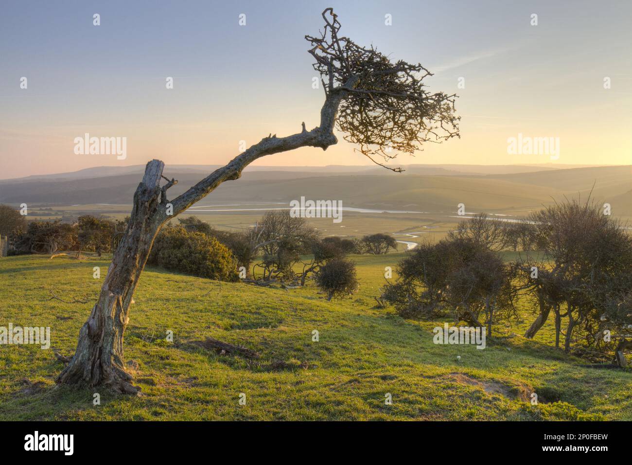 Vue sur la vallée de Cuckmere à l'aube. Près de Seaford, South Downs, East Sussex, Angleterre, Royaume-Uni Banque D'Images