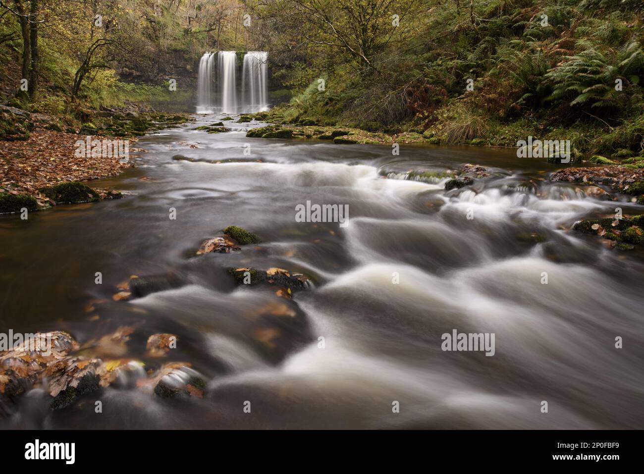 Rivière et cascade en cascade, Sgwd Yr Eira, Afon Hepste, Brecon Beacons N.P., Powys, Pays de Galles, Royaume-Uni Banque D'Images