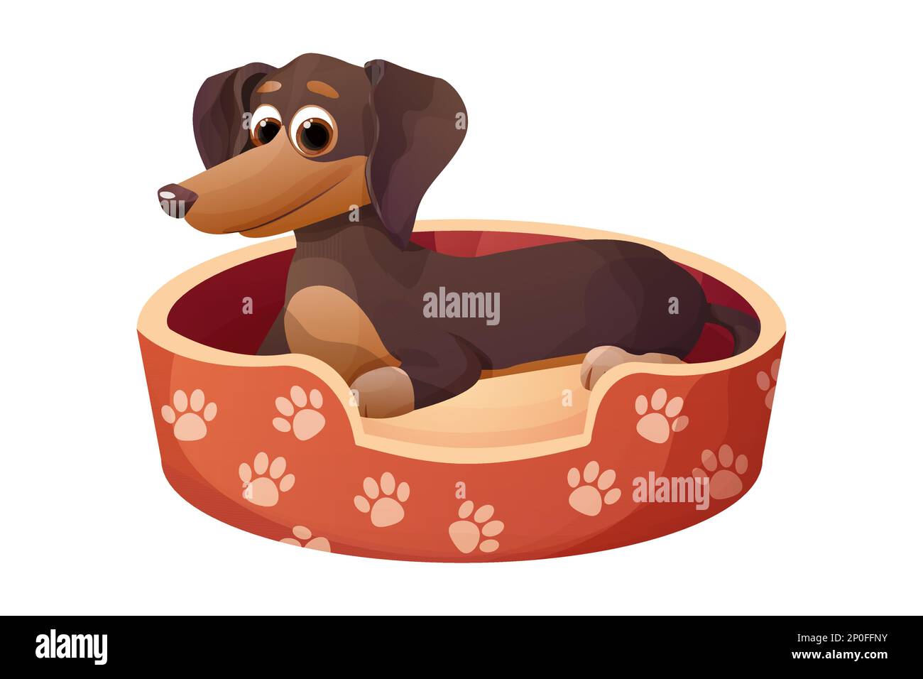 Mignon chien de dachshund de chiot dans le lit décoré avec des pattes, couché heureux animal dans le style de dessin animé isolé sur fond blanc. Illustration vectorielle Illustration de Vecteur