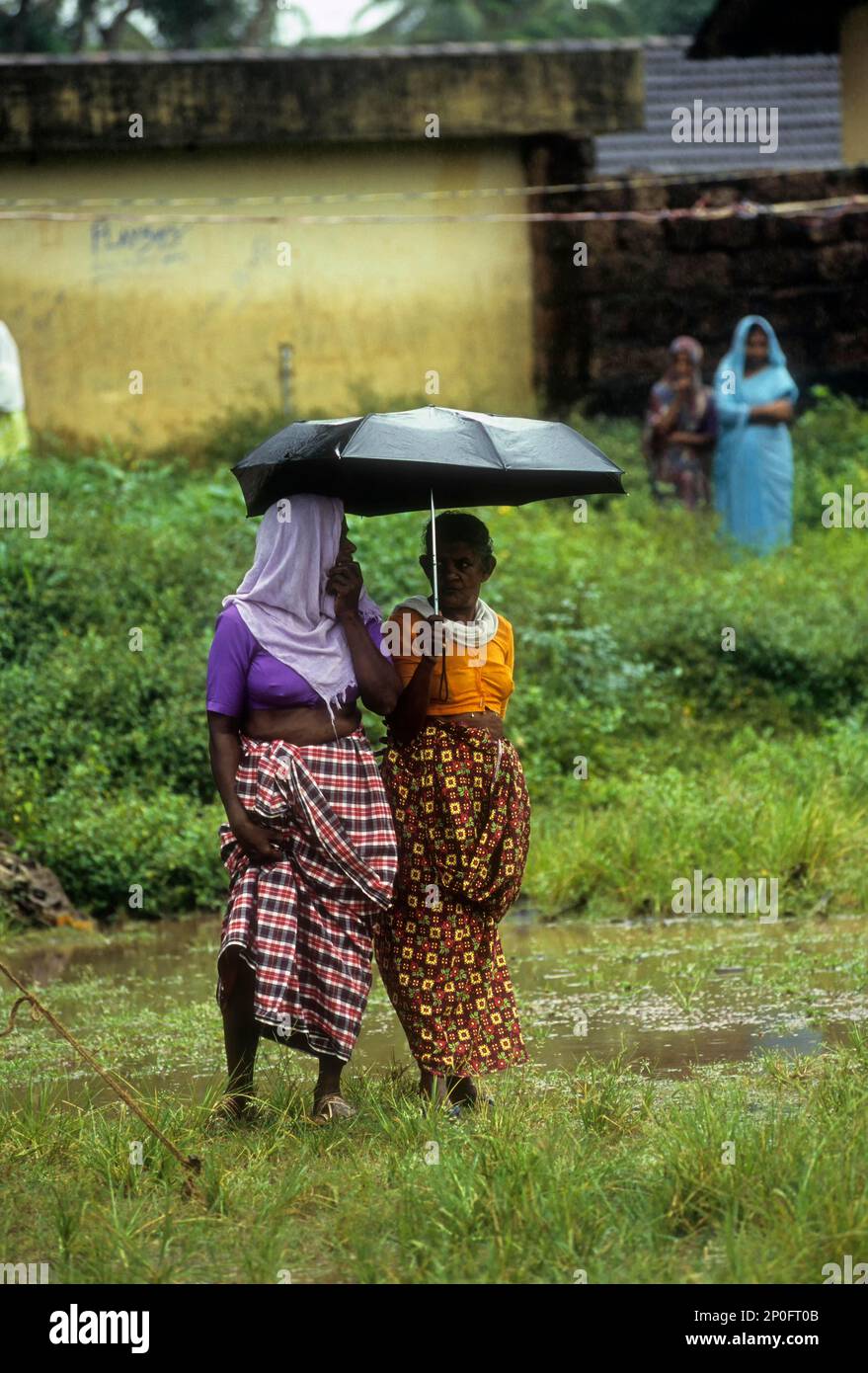 Mousson, femmes de village debout avec parapluie un jour de pluie entre Attapadi à Mukkali, Kerala, Inde Banque D'Images