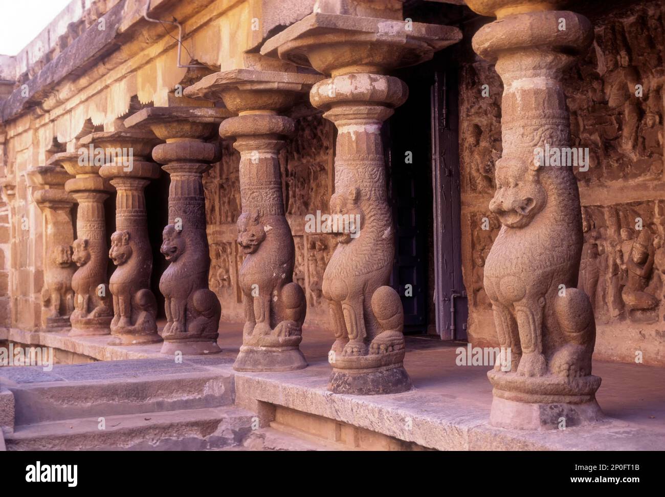 Piliers du lion dans le temple du Perumal de Vaikuntha à Kanchipuram près de Chennai; Madras, Tamil Nadu, Inde. Le temple de Vaikuntha Perumal est un Vishnu important Banque D'Images