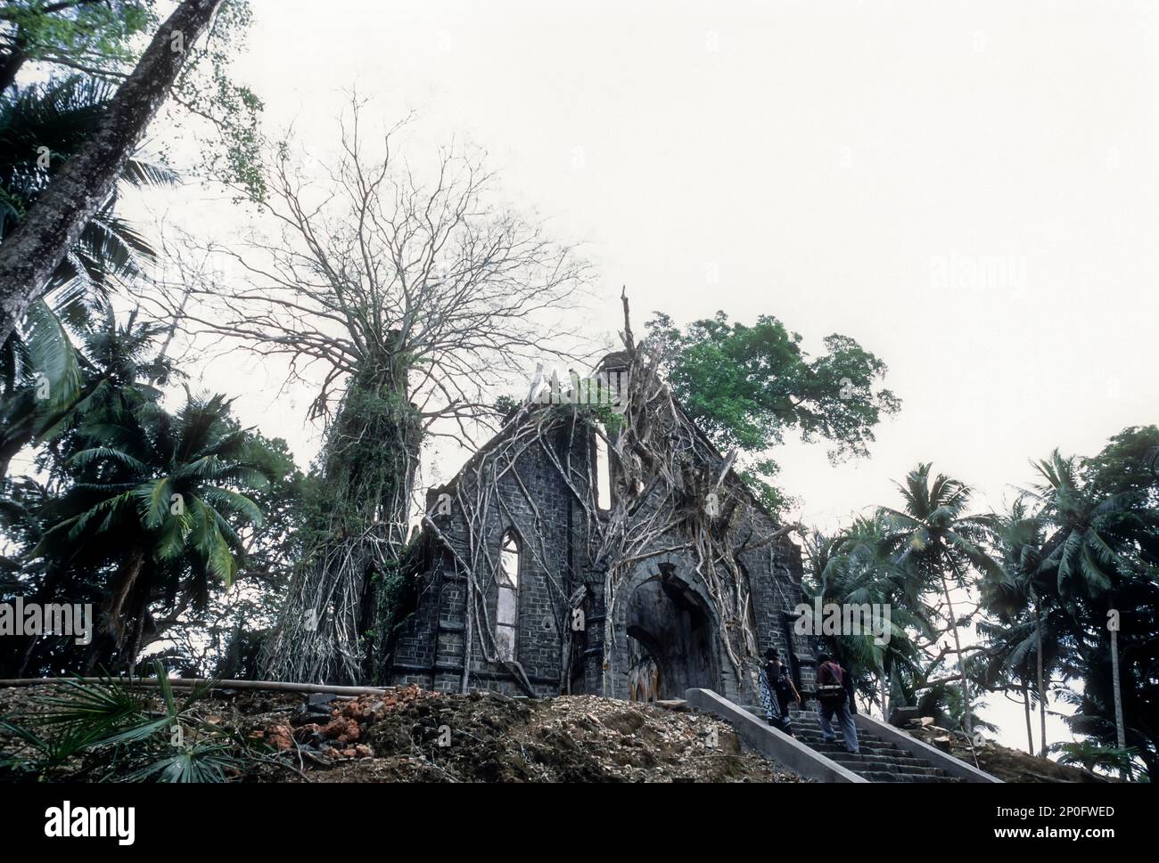 Ruines de l'église presbytérienne de l'île de Ross, Port Blair, Andaman Islands, Inde Banque D'Images