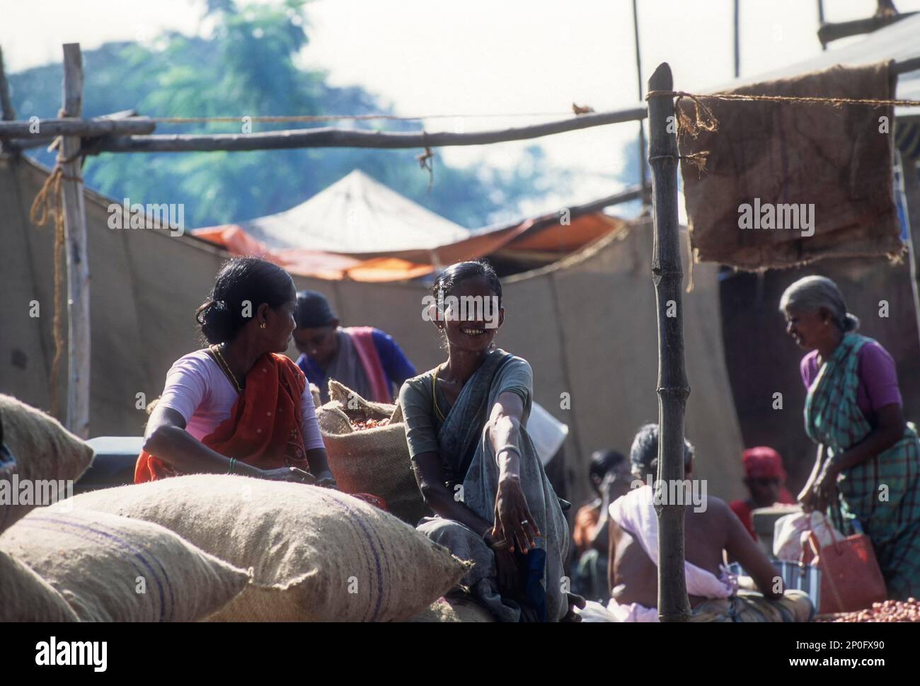 Femme du village assise dans le marché périodique à Perundurai près d'éroder, Tamil Nadu, Inde Banque D'Images