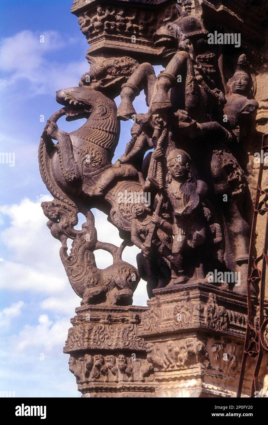 Sculptures exquises dans une salle de cent piliers dans le temple de Varadharaja Perumal à Kancheepuram ou Kanchipuram, Tamil Nadu, Inde, Asie Banque D'Images