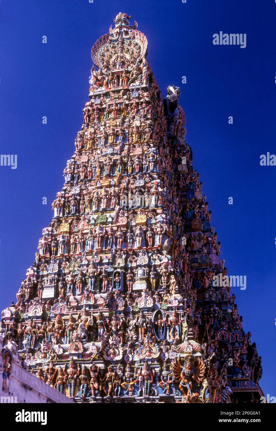 La plus grande tour sud de 170 pieds du temple Meenakshi Amman à Madurai, Tamil Nadu, Inde du Sud, Inde, Asie Banque D'Images