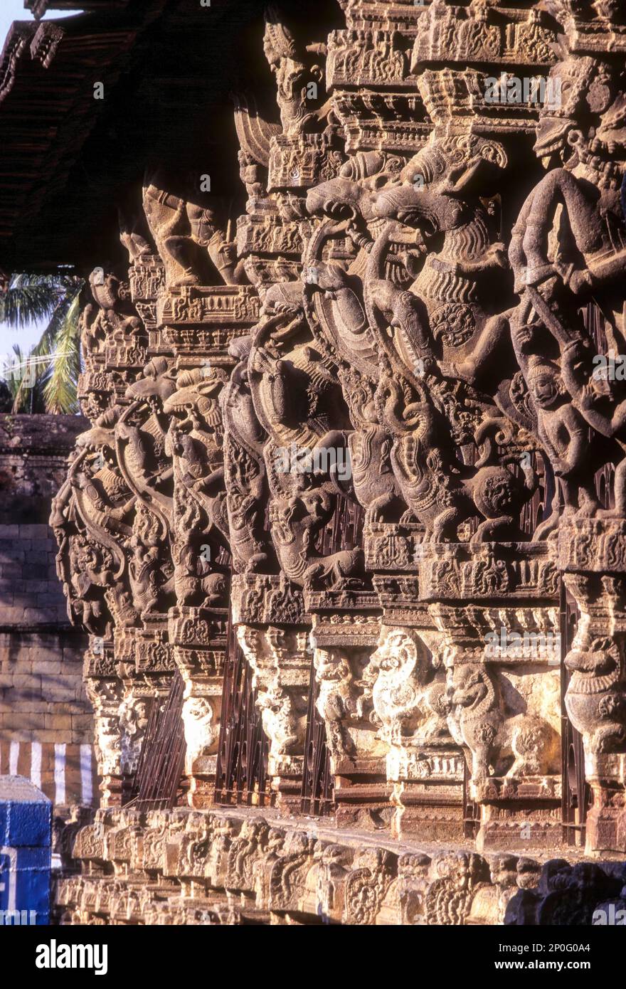 Sculptures dans la salle à cent piliers Varadharaja Perumal ou Hastagiri ou Attiyuran temple, Kancheepuram Kanchipuram, Tamil Nadu, Inde du Sud, Inde Banque D'Images