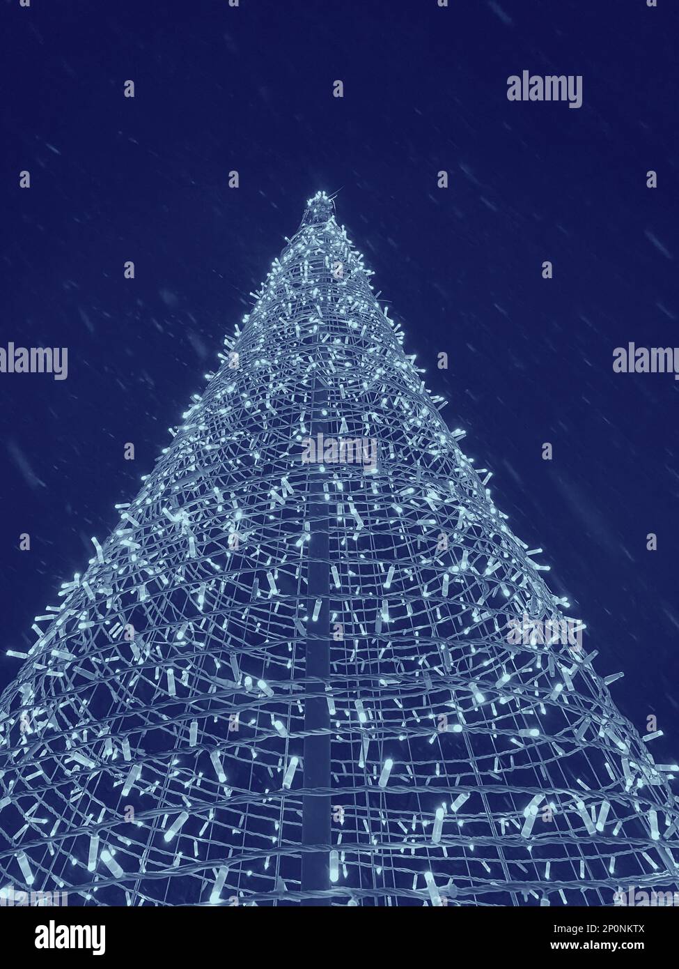 Vue sur l'arbre de Noël sur la neige contre le ciel bleu foncé Banque D'Images
