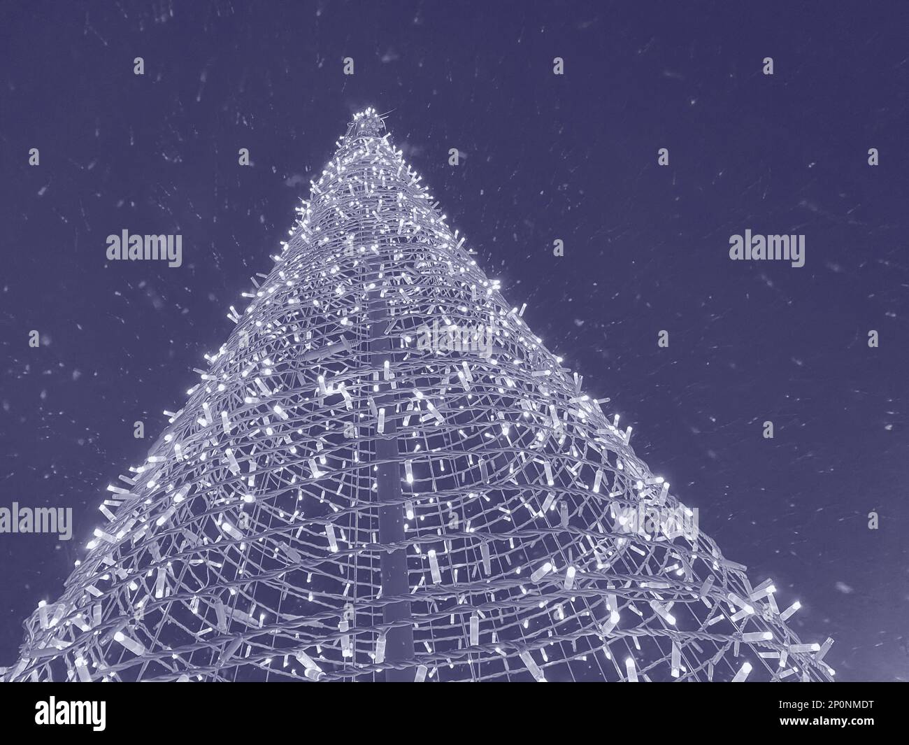 Vue sur l'arbre de Noël dans la neige contre le ciel bleu de nuit Banque D'Images