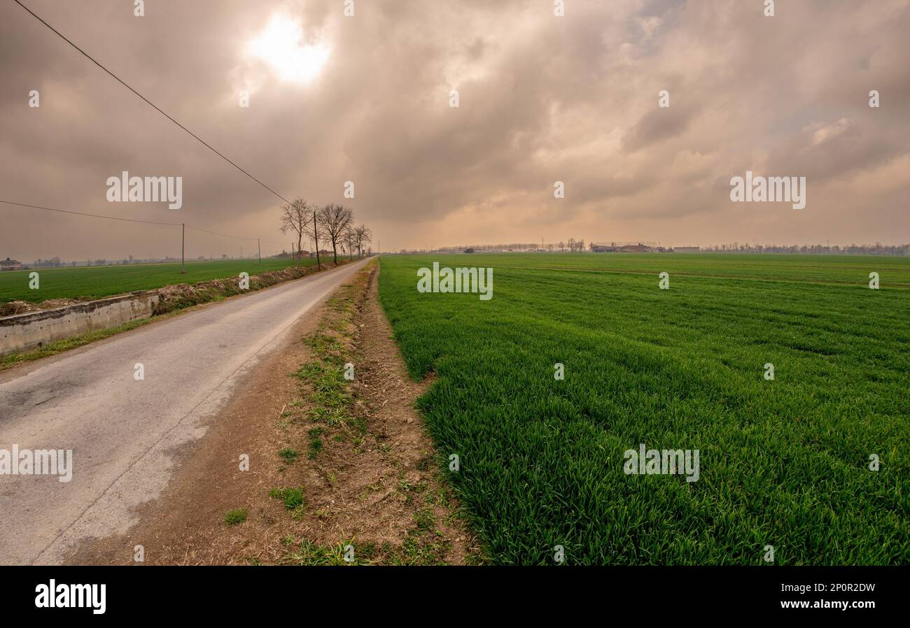 Paysage de la vallée du Piémont po en Italie; route de campagne entre les champs de blé jeune en hiver avec ciel nuageux dans la province de Cuneo; Italie Banque D'Images Paysage de la vallée du Piémont po en Italie; route de campagne entre les champs de blé jeune en hiver avec ciel nuageux dans la province de Cuneo; Italie Banque D'Images