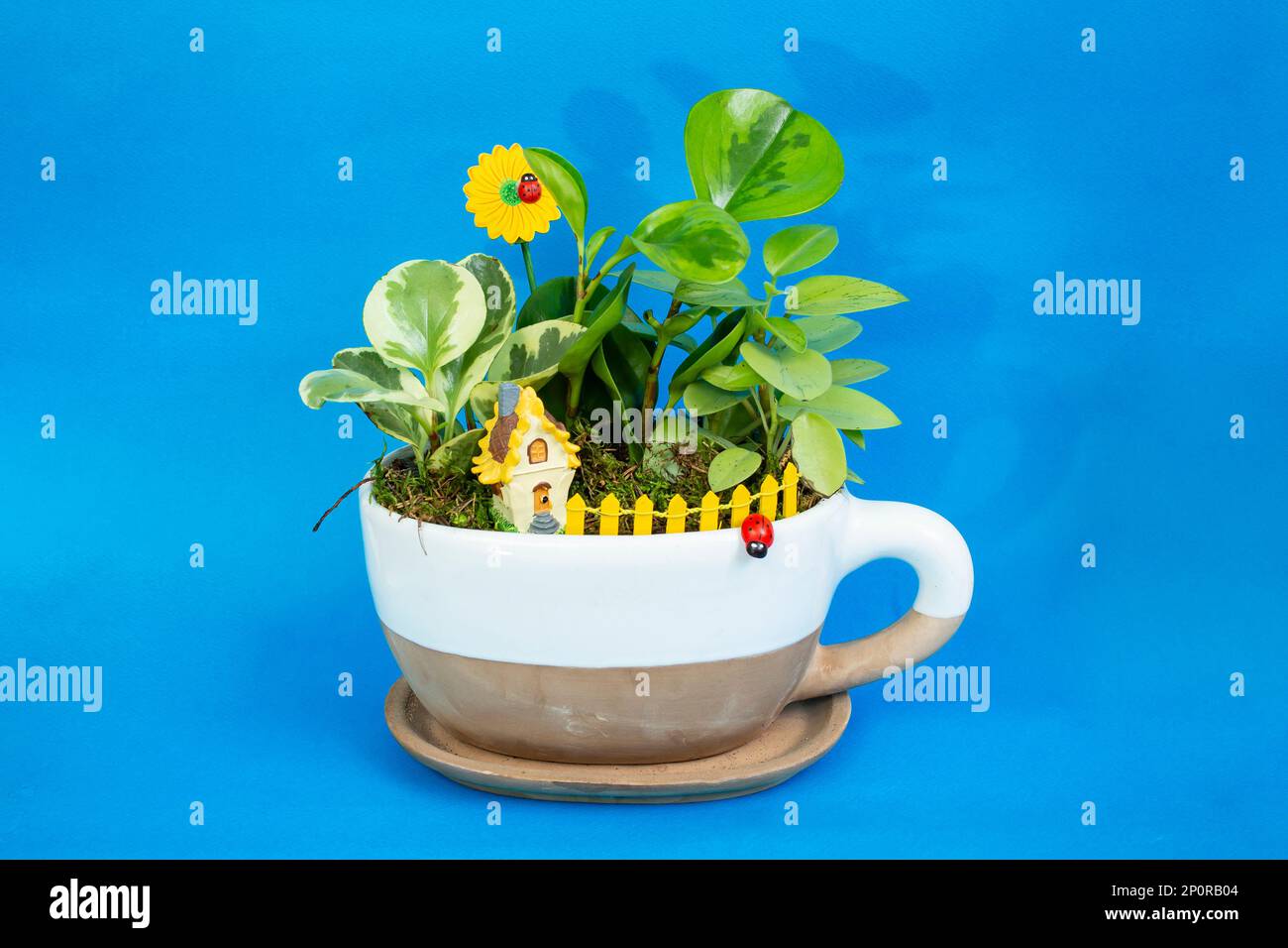 Plantes vertes dans un pot en forme de tasse, sur fond bleu Banque D'Images
