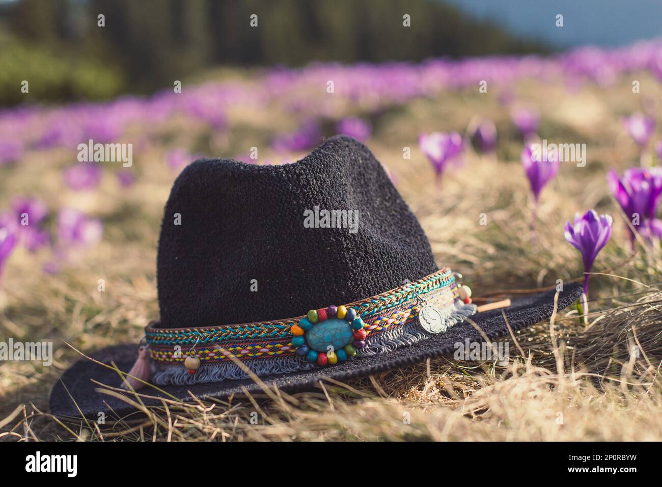 Gros plan chapeau fedora en tricot sur les fleurs tôt herbe herbe pré concept photo Banque D'Images