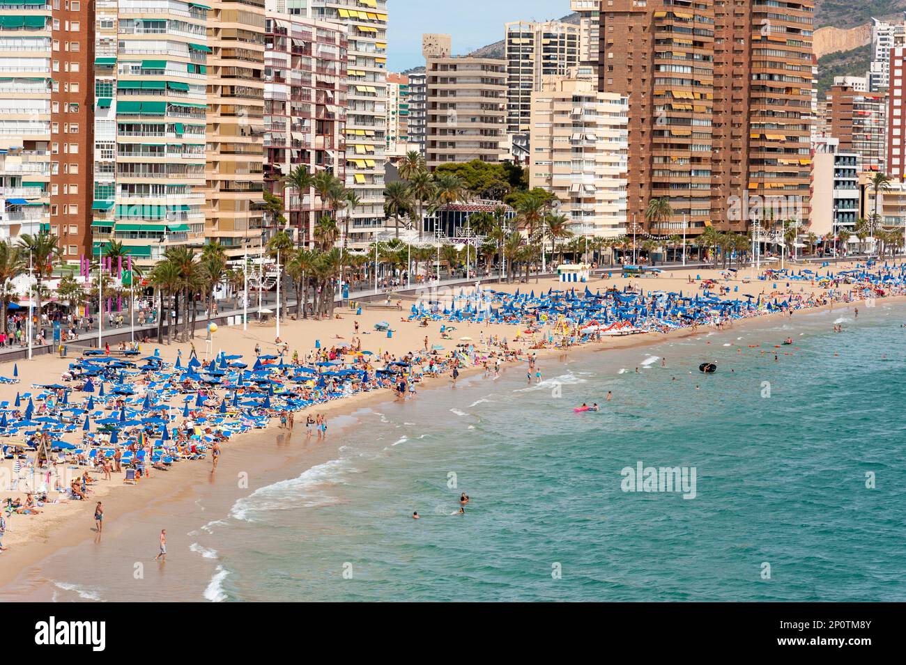 Front de Mer et plage, Benidorm, Costa Blanca, Espagne Banque D'Images