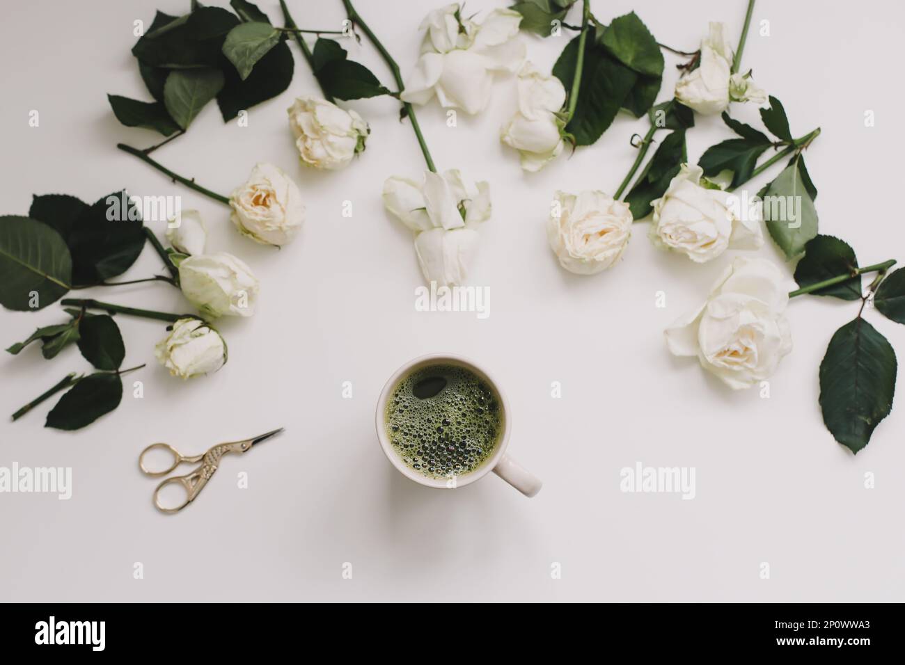 Motif floral de fleurs blanches et pétales, feuilles vertes sur fond blanc. Belle composition luxueuse élégante avec des roses blanches. Vue de dessus Banque D'Images