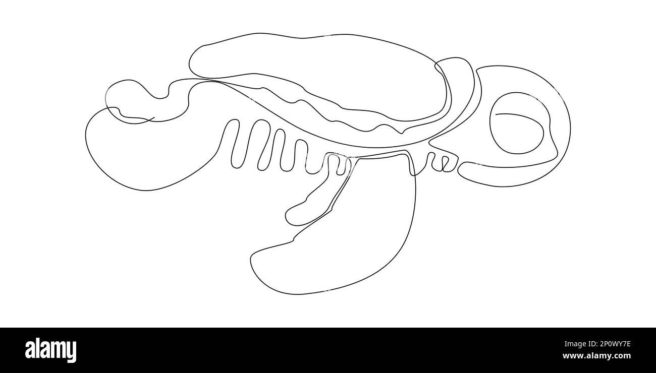 Une ligne continue de tortue. Concept de vecteur d'illustration à trait fin. Dessin de contour idées créatives. Illustration de Vecteur