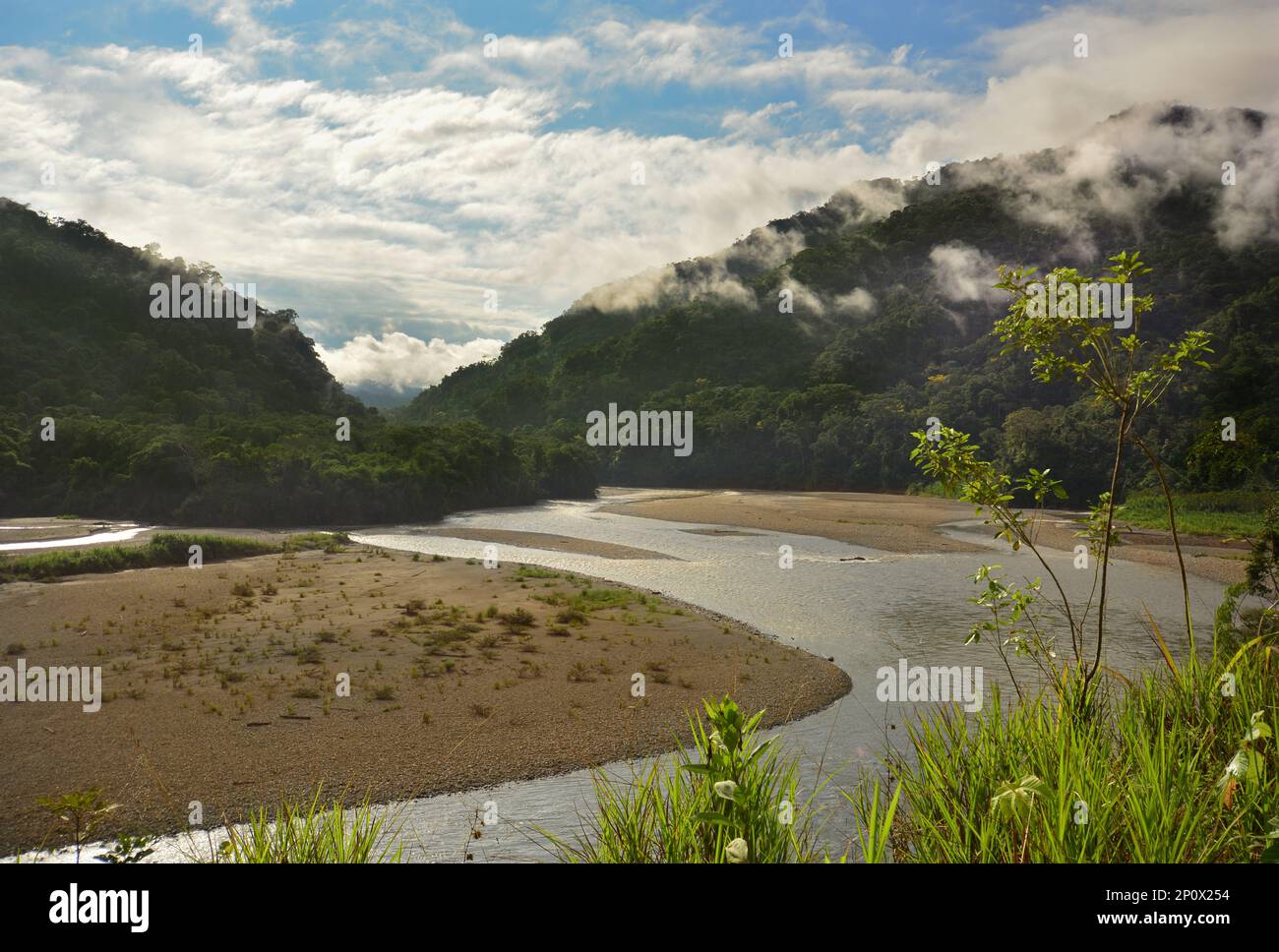 Paysage sur la rivière Madre de Dios le matin. Parc national de Manu, site du patrimoine mondial de l'UNESCO, Pérou Banque D'Images