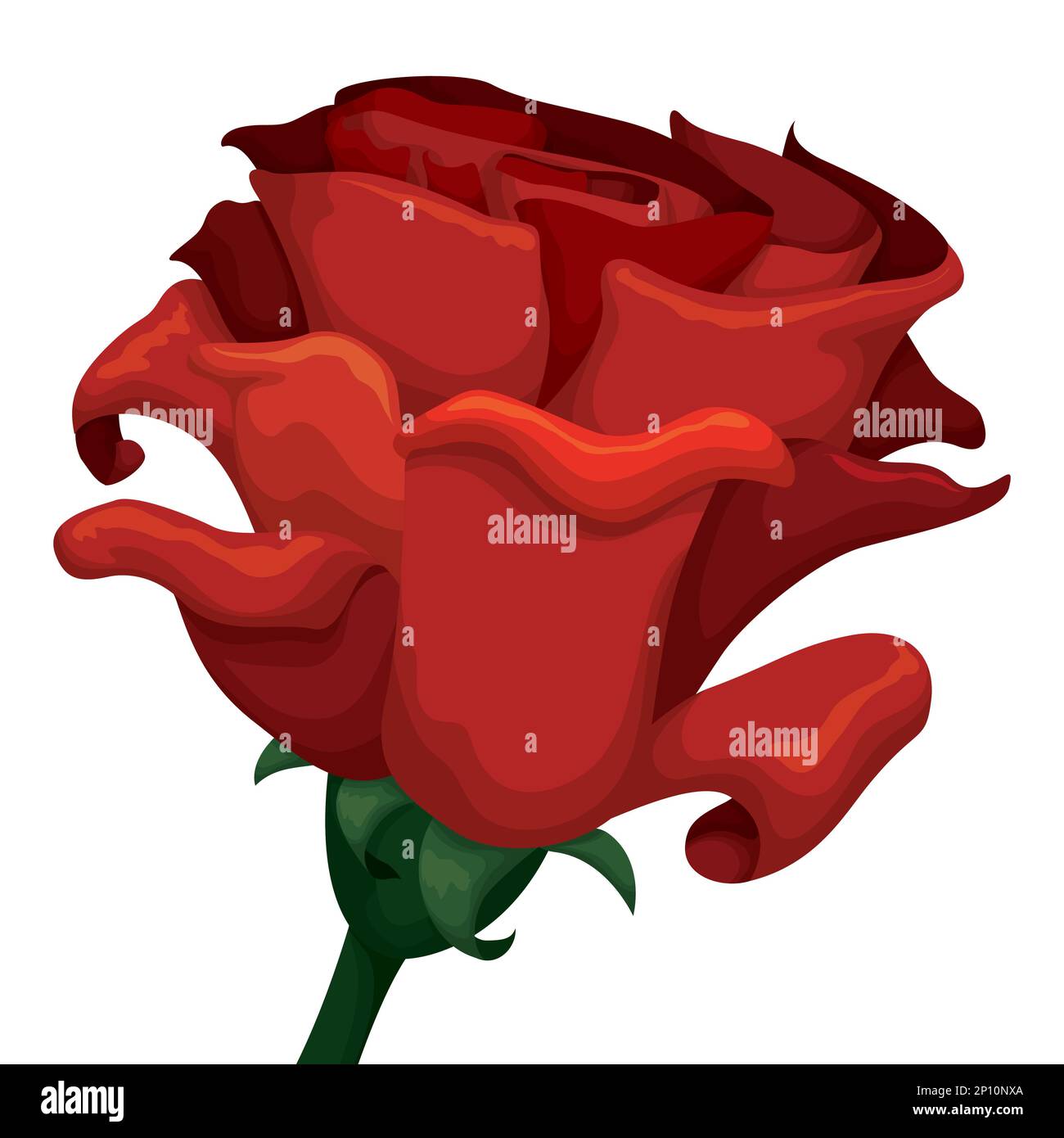 Vue rapprochée isolée de la rose rouge avec les sépales, le rosehip et la tige en style de dessin animé. Illustration de Vecteur