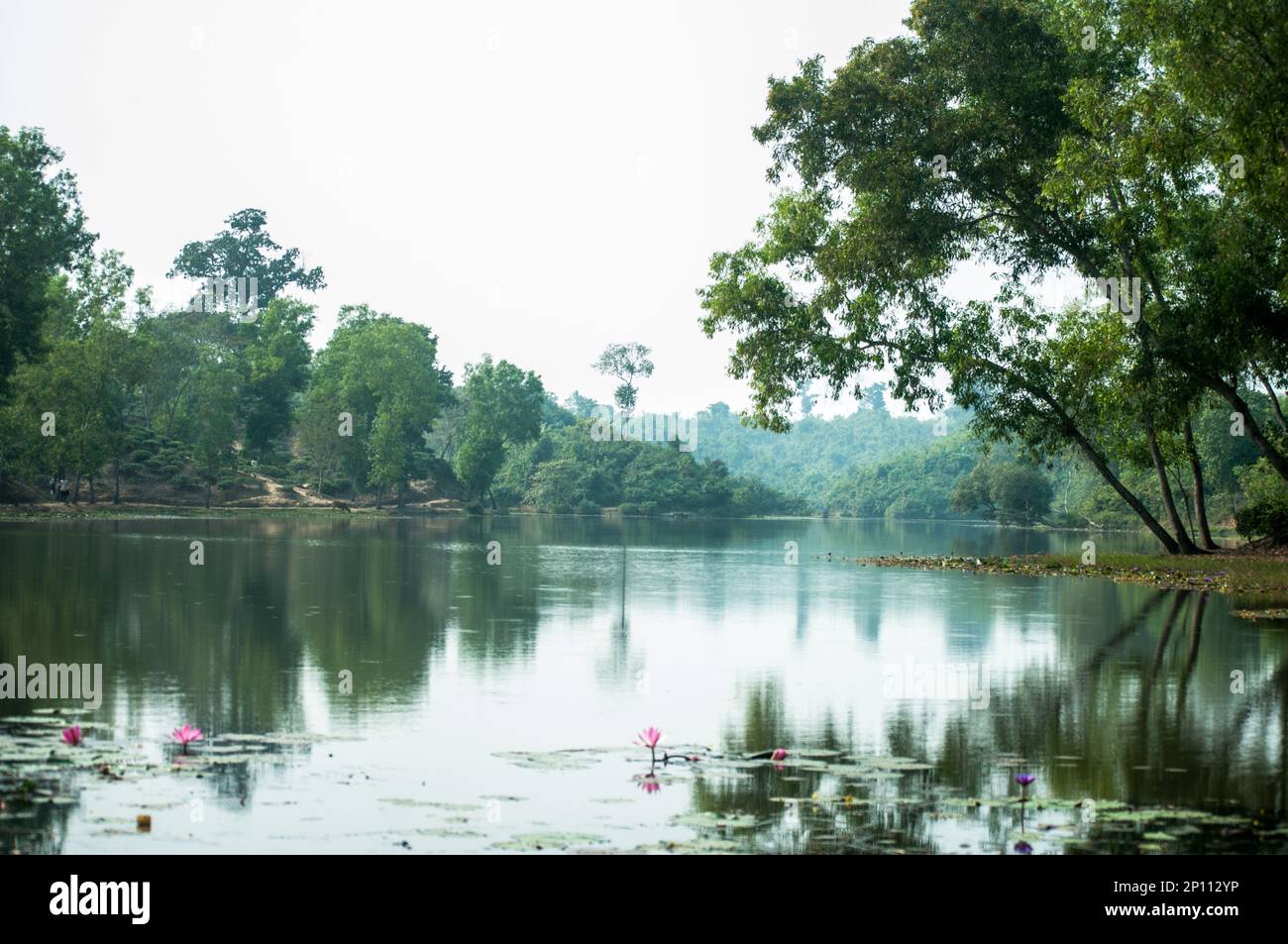 Photo du lac du madhabpur à Sylhet, Bangladesh. Banque D'Images