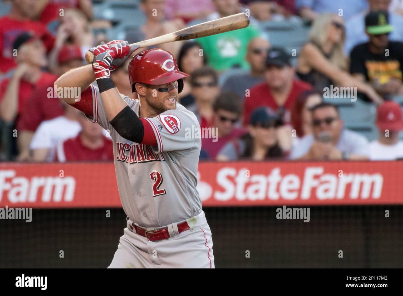 31 August 2016: Cincinnati Reds Shortstop Zack Cozart (2) in action during the game against the Los Angeles Angels of Anaheim played at Angel Stadium of Anaheim in Anaheim, CA. (Photo by Brian Rothmuller/Icon Sportswire) (Icon Sportswire via AP Images) Banque D'Images