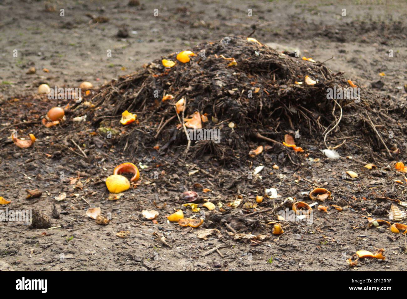 Bac à compost. Déconcentrer le compost et le cycle du sol composté comme un tas de compostage de la cuisine pourrie gratte avec des fruits et des légumes. Rotation des déchets Banque D'Images