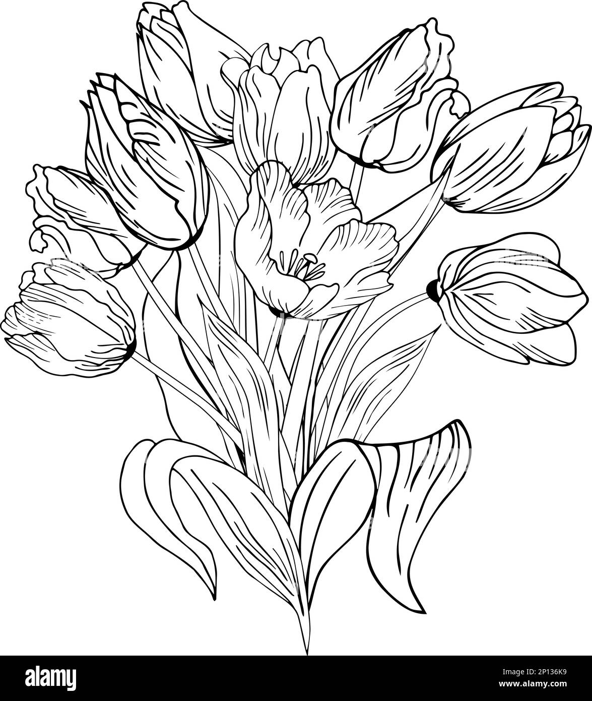Fond floral avec tulipes. Dessin à la main Illustration de Vecteur